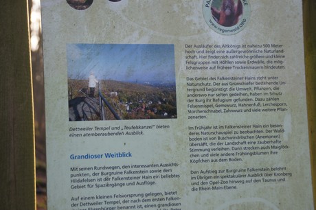 BKA Beamte bei der Begehung von Straftaten
